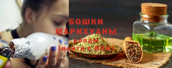 ГАЛЛЮЦИНОГЕННЫЕ ГРИБЫ Аркадак