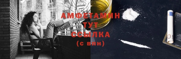 хмурый Арсеньев