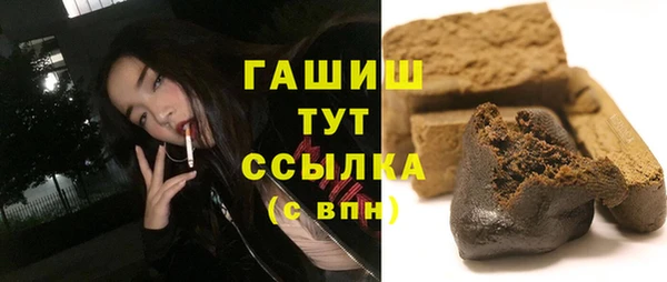 хмурый Арсеньев