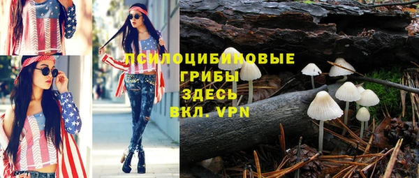 ГАЛЛЮЦИНОГЕННЫЕ ГРИБЫ Аркадак