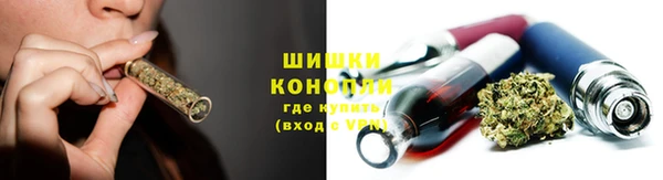 ГАЛЛЮЦИНОГЕННЫЕ ГРИБЫ Аркадак