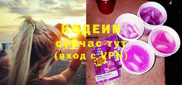 хмурый Арсеньев