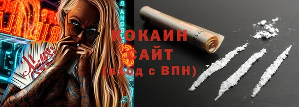 хмурый Арсеньев