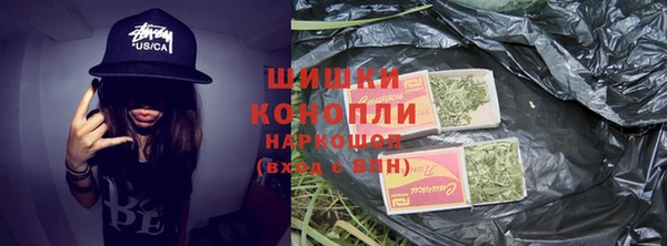 хмурый Арсеньев