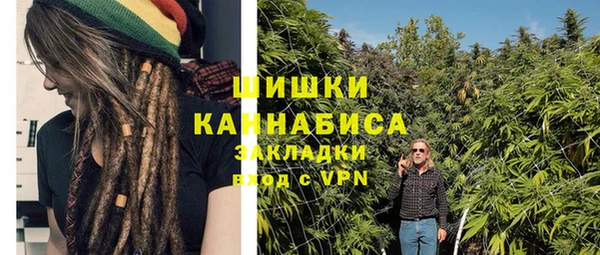 хмурый Арсеньев