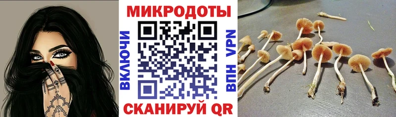 Псилоцибиновые грибы прущие грибы  купить  цена  Баксан 